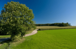 Landschap2